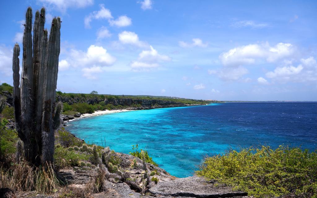 Dormio Bonaire Village Номер фото